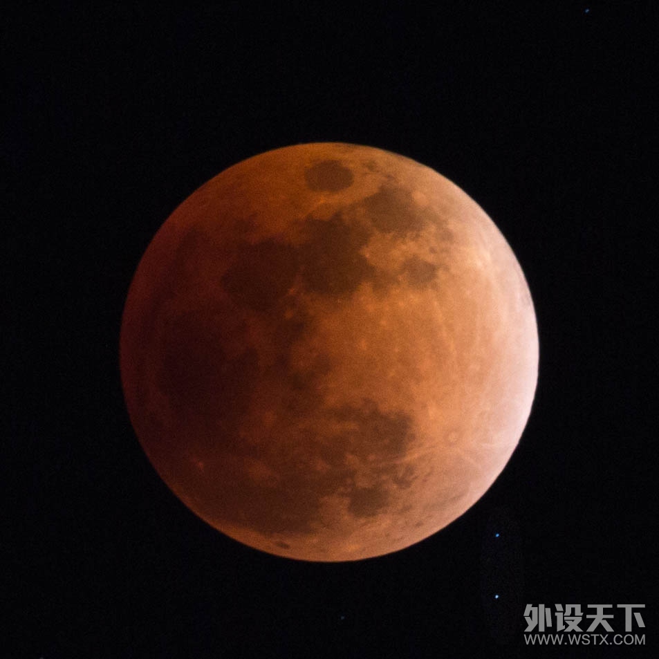 【春节福利】旺一年 狗年晒狗赢外设