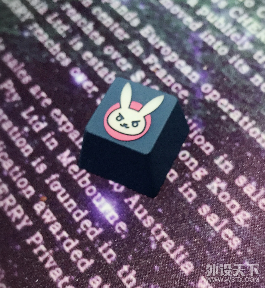 垃圾佬的拾荒记录——D.va个性键帽