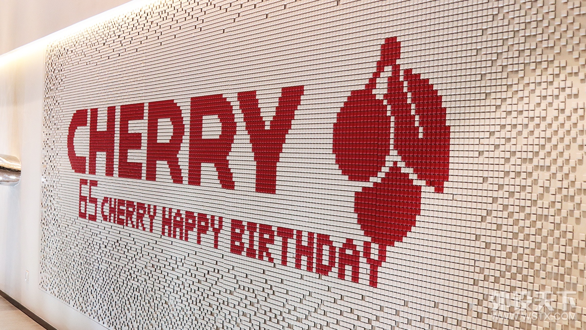 CHERRY 65周年庆活动游记 大蛋糕真好吃