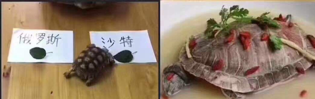 【预测世界杯冠军，赢千元大礼】网件携手外设天下世界杯冠军大预测
