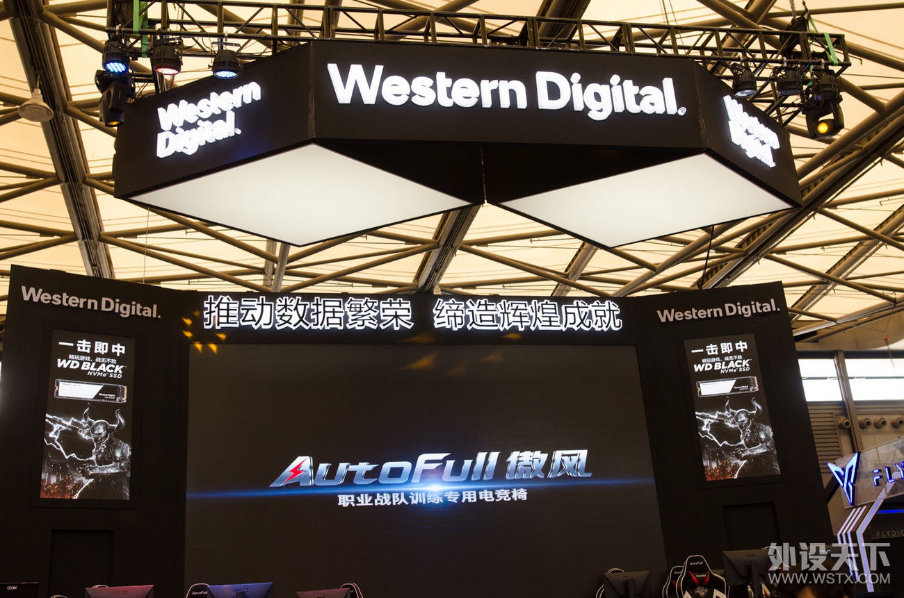 2018Chinajoy狂欢季第一天WD展台SSD 硬盘和SG