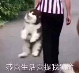 【转】最怕老司机一脚刹车，哈哈哈哈哈嗝