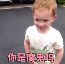【转】最怕老司机一脚刹车，哈哈哈哈哈嗝