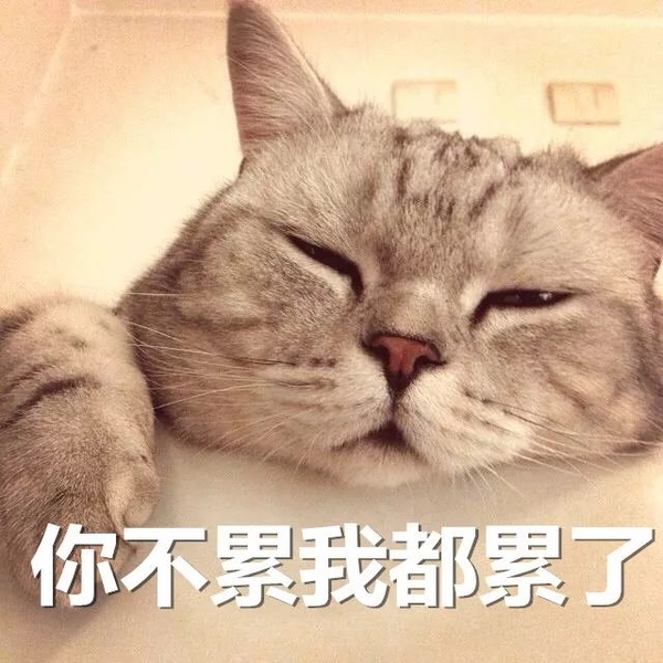【转】8月27日：为什么大家都觉得上世纪港星更美？观51岁的少女周慧敏有感