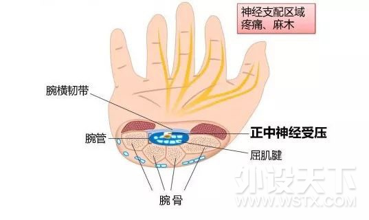 确认你是万能手的机会来了，兔飚鼠标原理解析和把玩感受