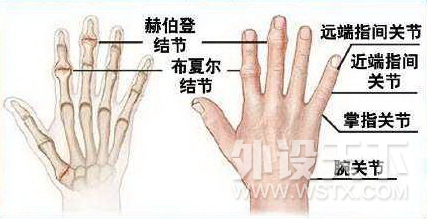 确认你是万能手的机会来了，兔飚鼠标原理解析和把玩感受