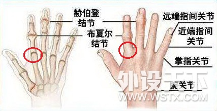 确认你是万能手的机会来了，兔飚鼠标原理解析和把玩感受