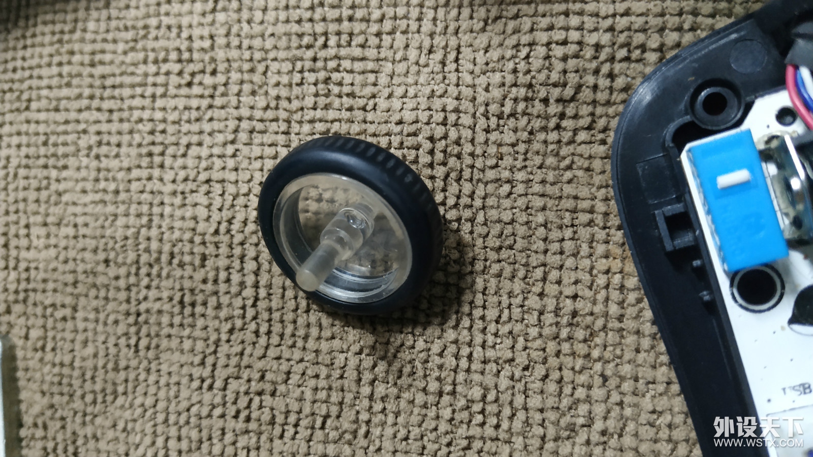 235001ekokwrxtrwauztkk.jpg