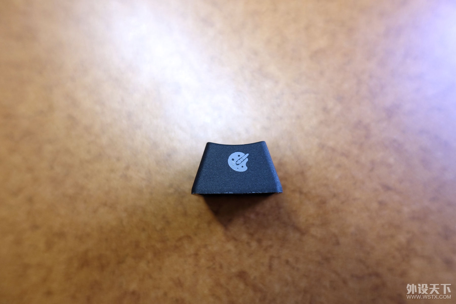 _DSC4531_keycap_sideview����.jpg