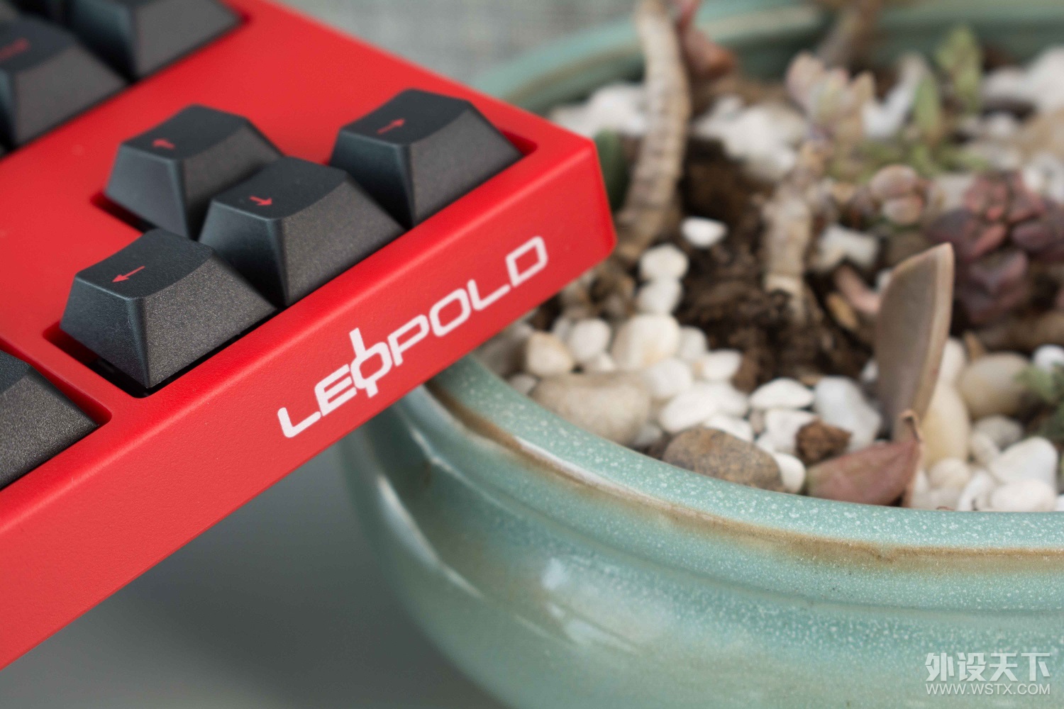 加入毒坛一年半，喜提大L——Leopold FC750R PD赤色限定