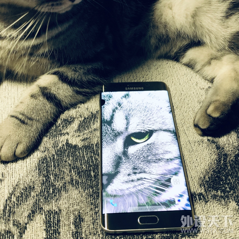 旧王退位，新皇登基