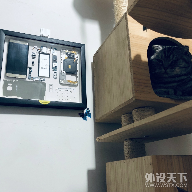 旧王退位，新皇登基