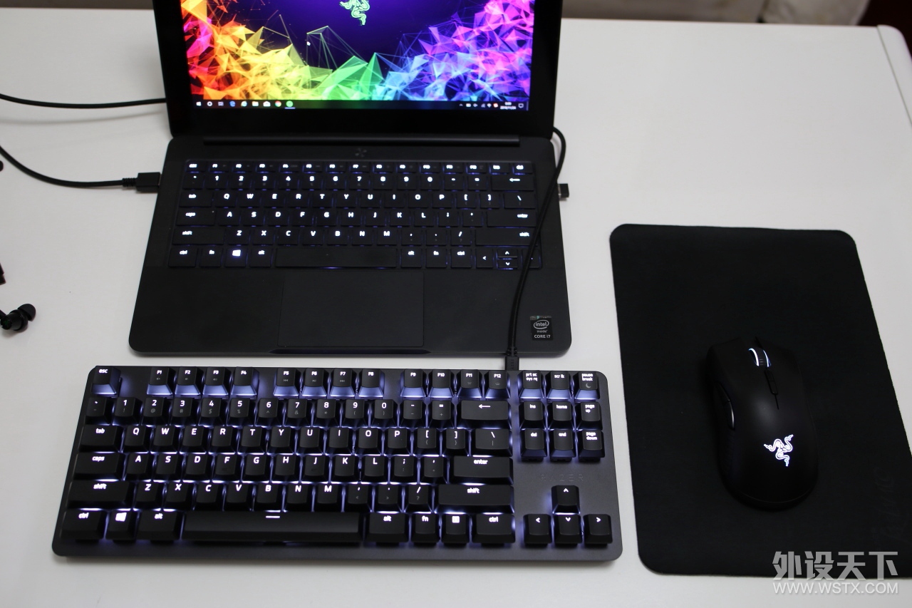Work and Play——雷蛇黑寡妇蜘蛛轻装版开箱评测