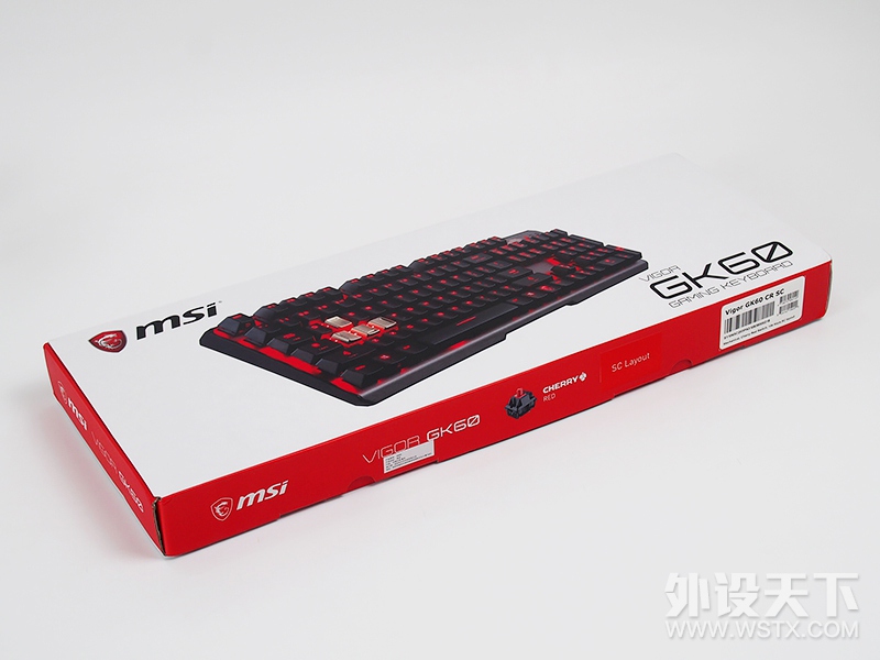 【风烛】披鳞请『键』·御龙九天-微星VIGOR GK60键盘评测