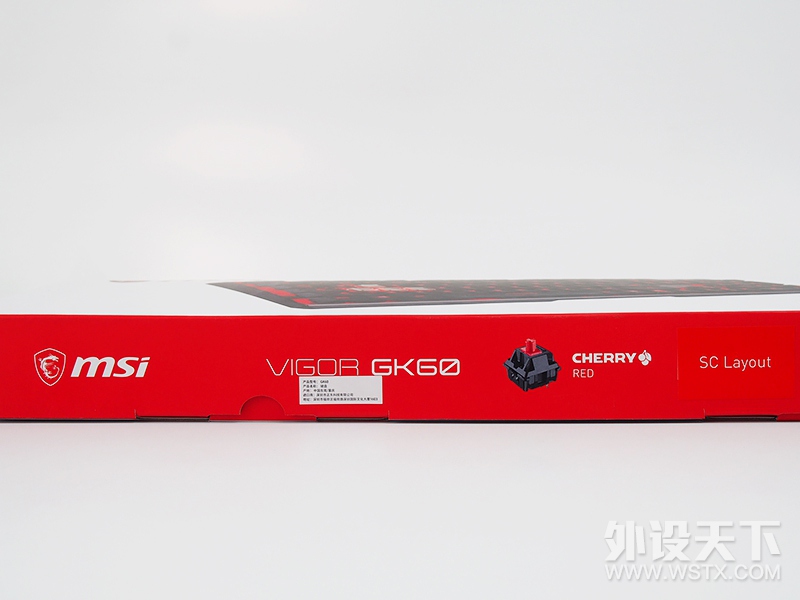 【风烛】披鳞请『键』·御龙九天-微星VIGOR GK60键盘评测