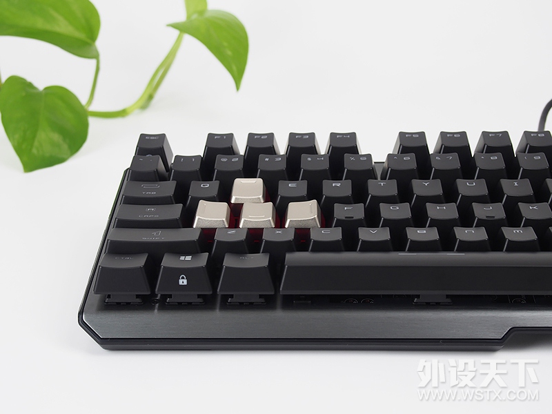【风烛】披鳞请『键』·御龙九天-微星VIGOR GK60键盘评测