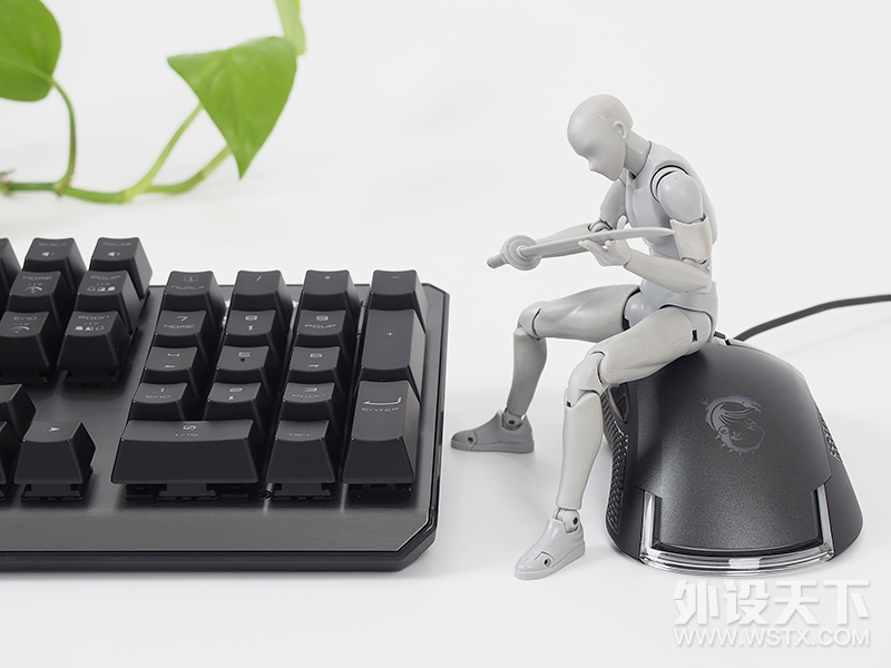 【风烛】披鳞请『键』·御龙九天-微星VIGOR GK60键盘评测
