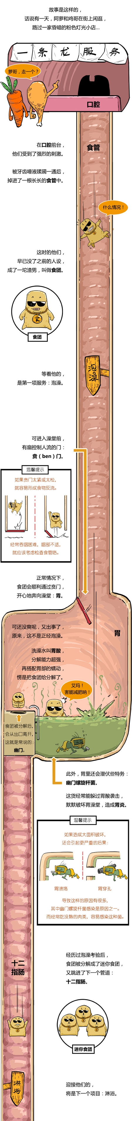 每日水帖：说来你可能不信， 在你的身体里，住着一家黑店！
