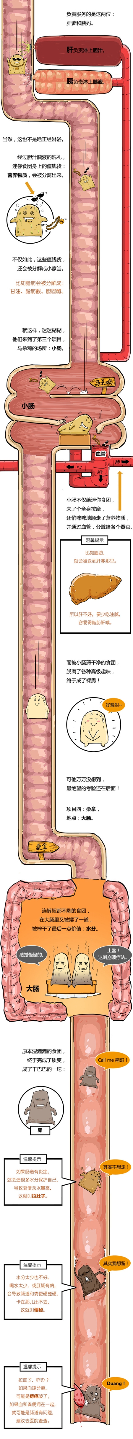 每日水帖：说来你可能不信， 在你的身体里，住着一家黑店！