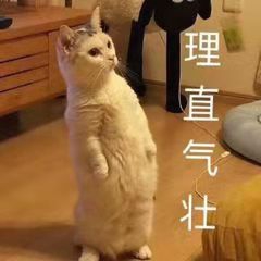 【劲爆福利】鼠年新春，外设天下好礼大放送，下一条锦鲤就是你！