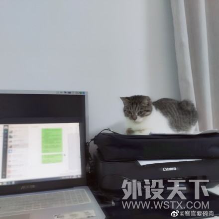 【每日话题】2020.02.11 在家办公的坛友请举起你们的双手~