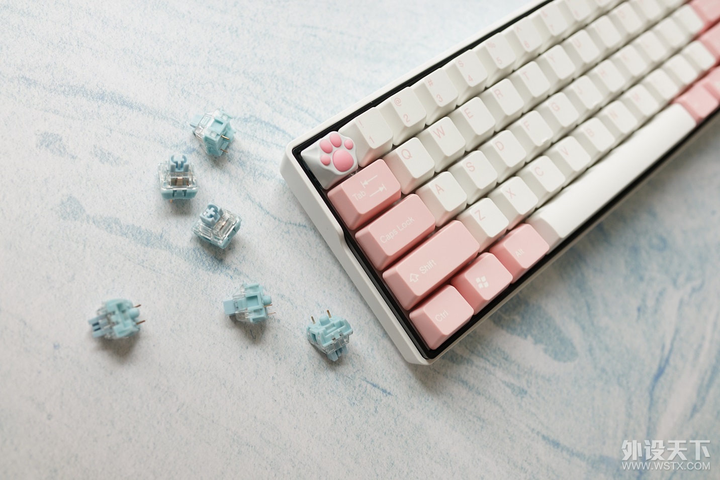 【箴言】皎洁月色之美，TTC月白轴之最