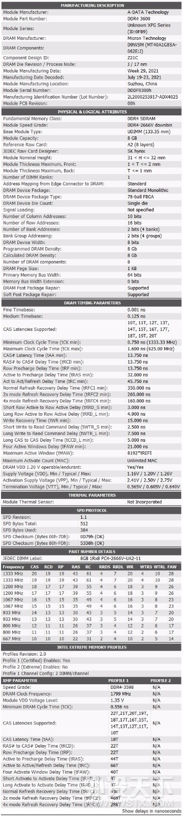 XPG威龙 D45 3600MHz 台式机内存条 体验分享