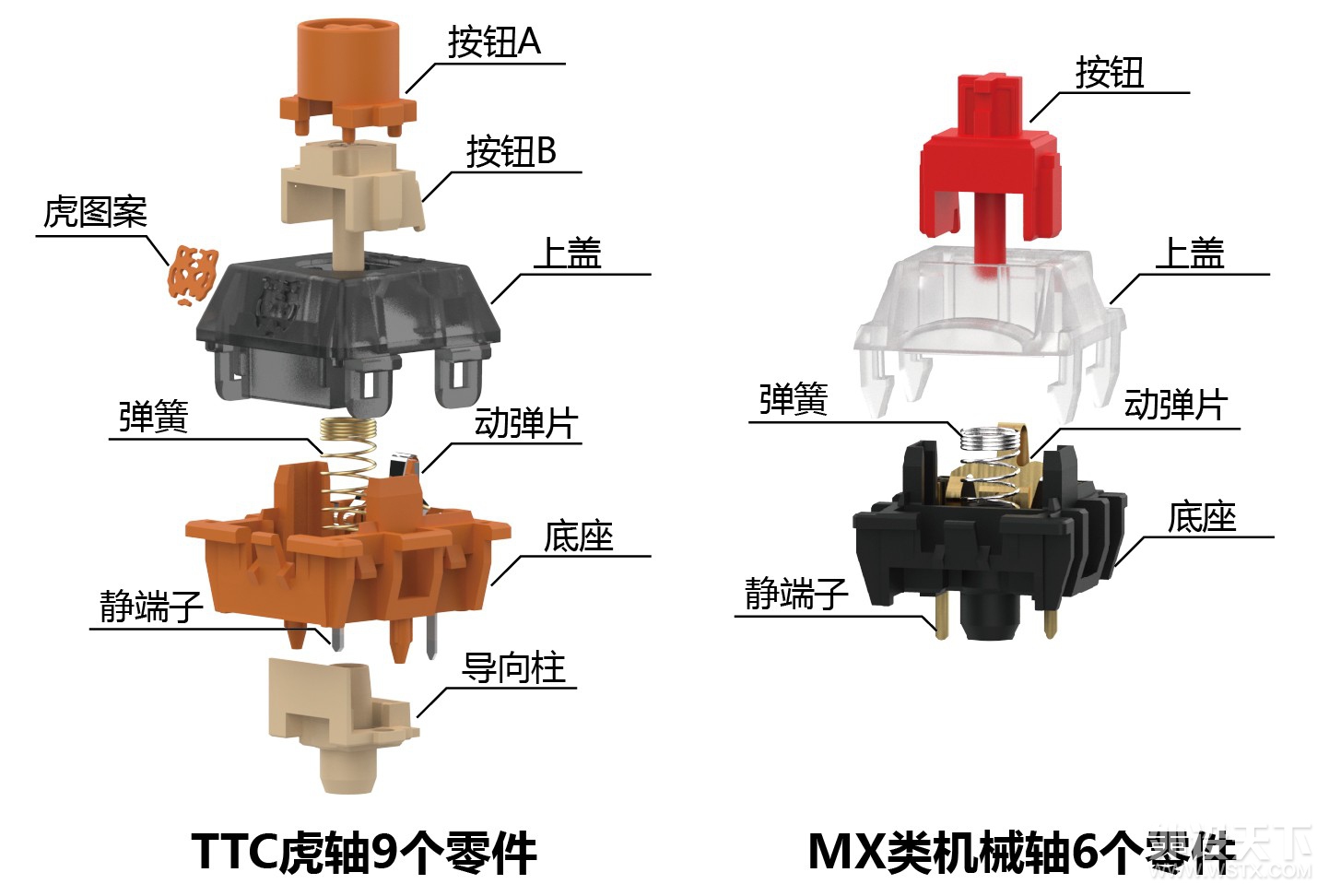 虎年更虎用虎轴——TTC虎轴OG版本体验