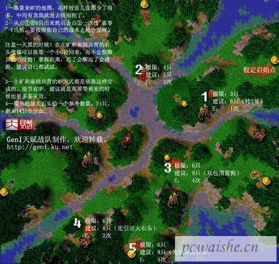 不死不带英雄纯小G的MF研究
