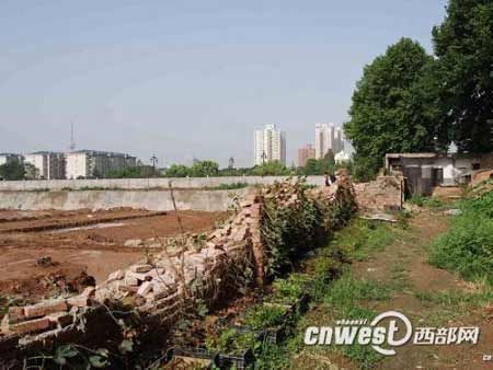 生命诚可贵 爱情价更高  若为金钱故 有啥不能抛？！！