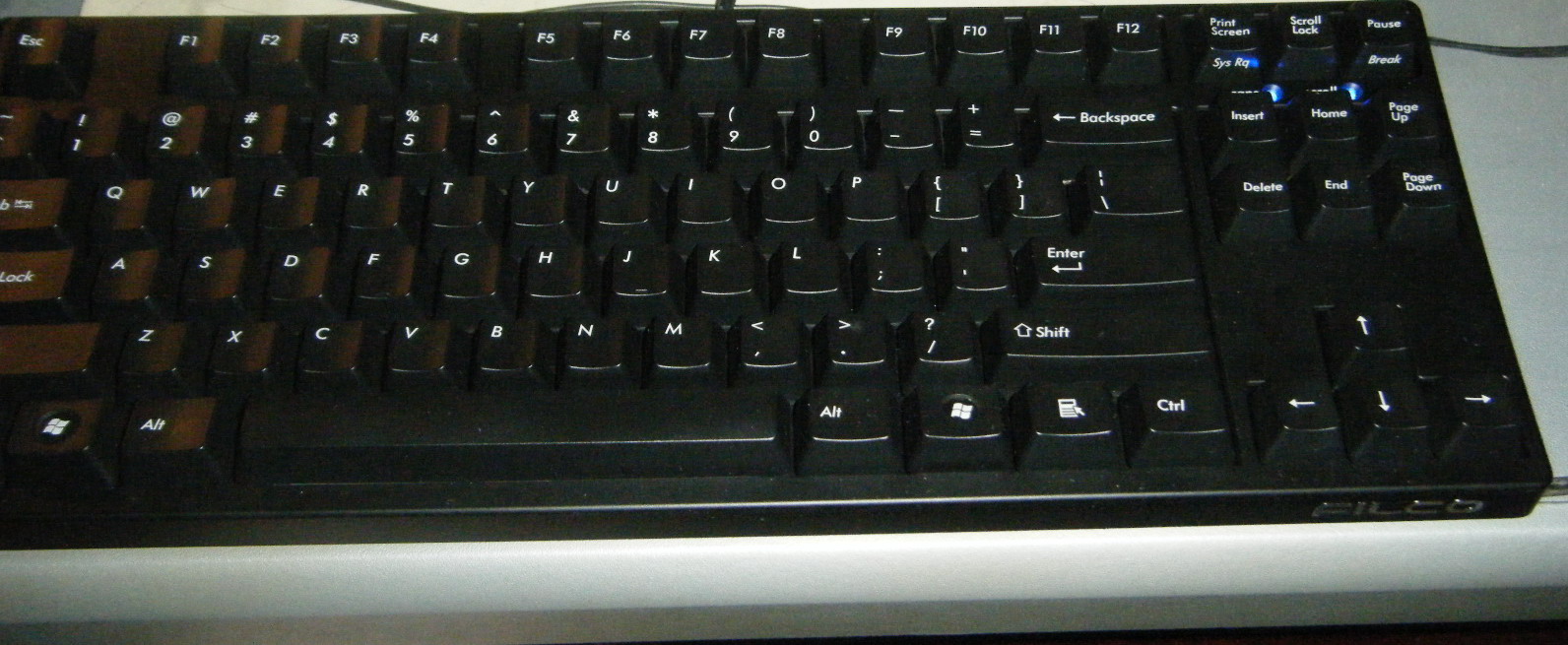 DSCF0007.JPG