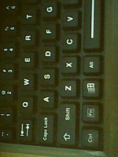 IMG0263A.jpg