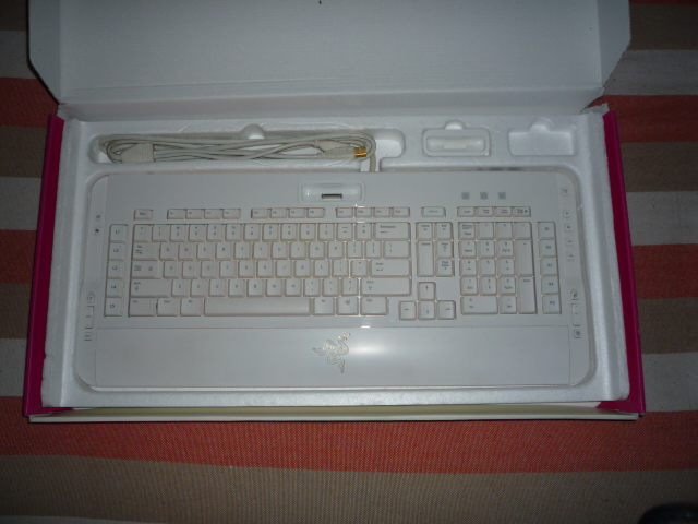 P1020157.JPG