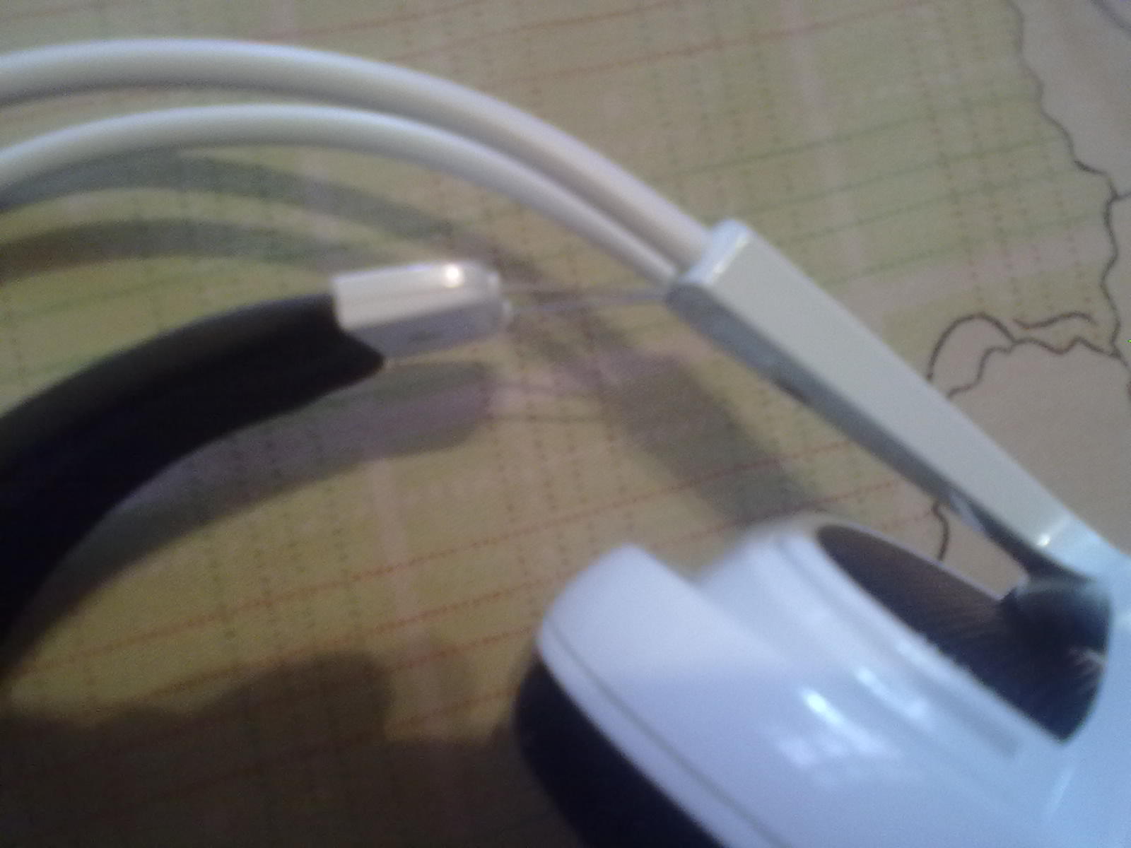 20101007312.jpg