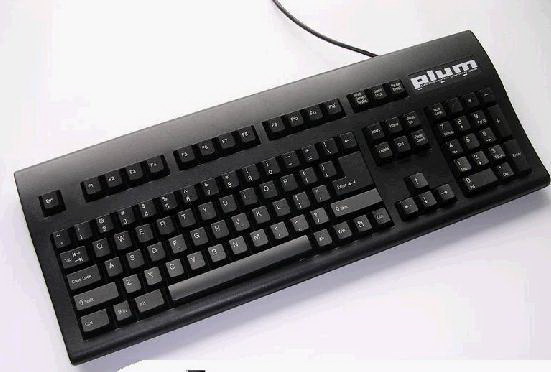 plum ��е����.jpg