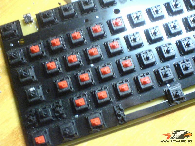 Ducky 1087 改轴 。。。。。。（kumusou表扬帖）