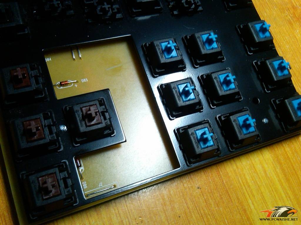 IMG-20110319-00049.jpg