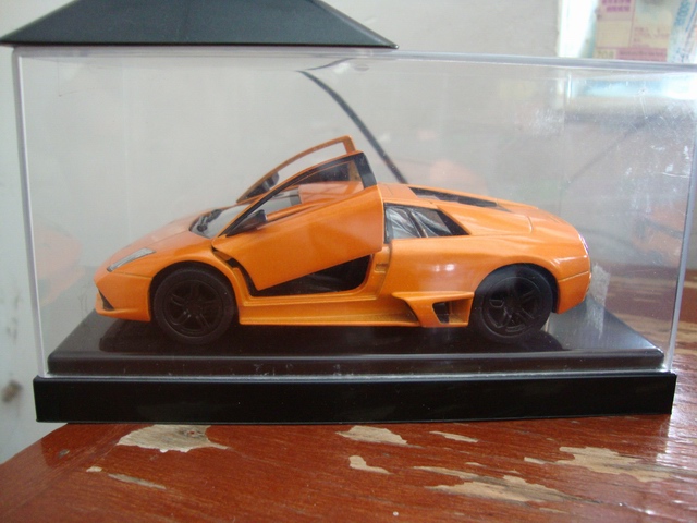 ������С DSC07026.JPG
