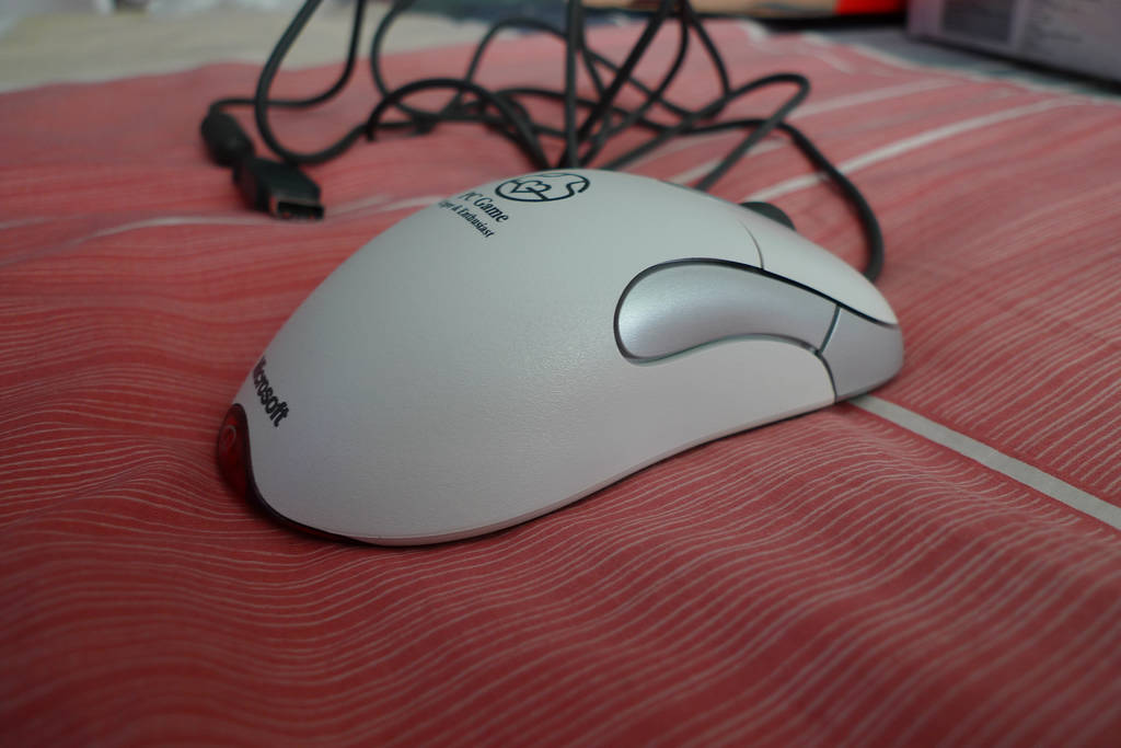 P1000631.JPG