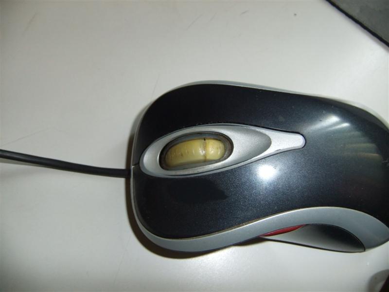 DSCF3764.jpg