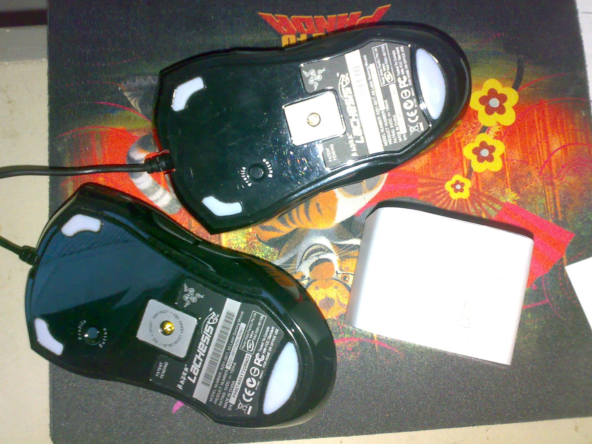 20080101306.jpg