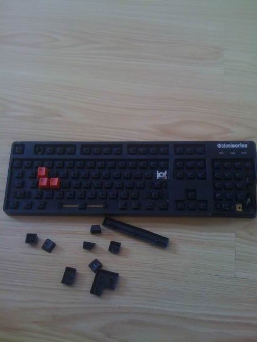 XX2.jpg