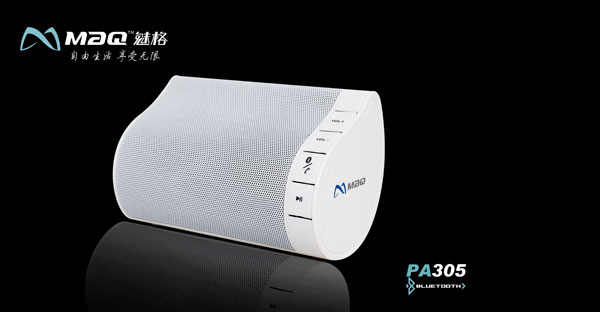 �绰���������� �ȸ�PA305������������