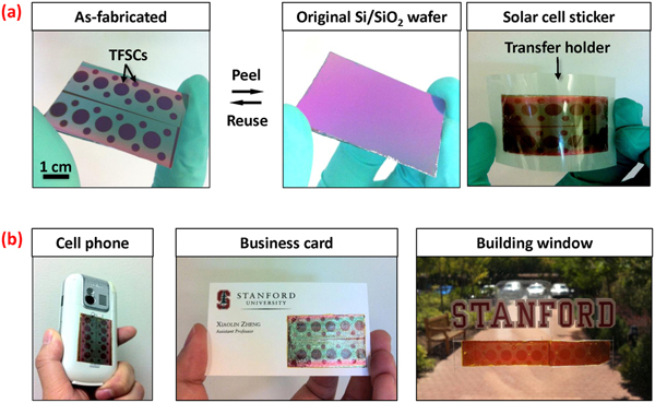 ��Ĥ̫���ܵ������ �������������κα�����