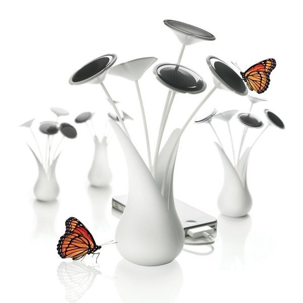 ����С�ɰ���̫�������Գ����