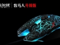����ÿ�վ���������עӮ����Ÿ߶�����